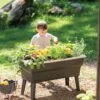 Calipso 3-in-1 Kids Gardening Self-Watering Planter Kit -Garden Care Specialty Store 8609217 0333 tif