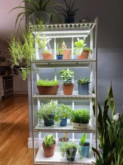 Oslo 4-Tier LED Grow Light Garden -Garden Care Specialty Store 8609220 03IN tif