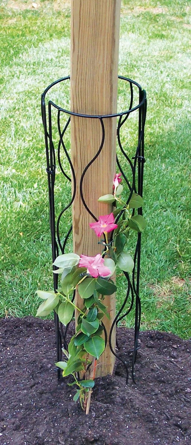 Bosmere Trellis for Mailbox or Lamp Post Bosmere Trellis For Mailbox Or Lamp Post -Garden Care Specialty Store 8609257 01V tif