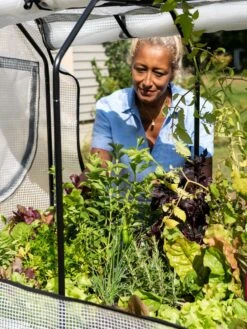 VegTrug®Patio Garden Greenhouse Cover Kit 4 VegTrug®Patio Garden Greenhouse Cover Kit -Garden Care Specialty Store 8610172 1256