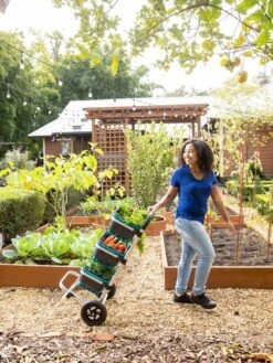 Mod Hod Trolley With Teal Mod Hods 4 Mod Hod Trolley With Teal Mod Hods -Garden Care Specialty Store 8610240 0070 tif