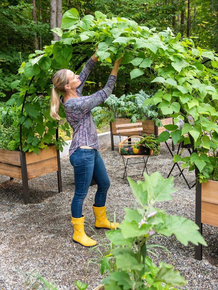 2’ x 8’ Arch Trellis for Planter Boxes 2’ X 8’ Arch Trellis For Planter Boxes -Garden Care Specialty Store 8610798 050 tif