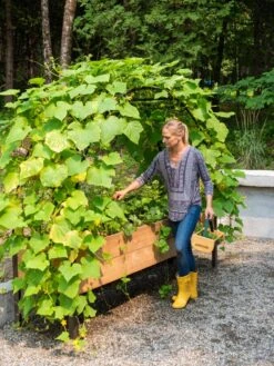 2’ X 8’ Arch Trellis For Planter Boxes 3 2’ X 8’ Arch Trellis For Planter Boxes -Garden Care Specialty Store 8610798 062 tif