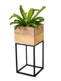 Tartu Elevated Square Planters -Garden Care Specialty Store 8611005 036