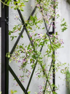 Lattice Gable Wall Trellis -Garden Care Specialty Store 8611130 011