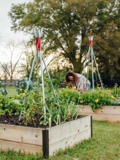 DIY Connector For Teepee Trellis 9 DIY Connector For Teepee Trellis -Garden Care Specialty Store 8611896 38 tif