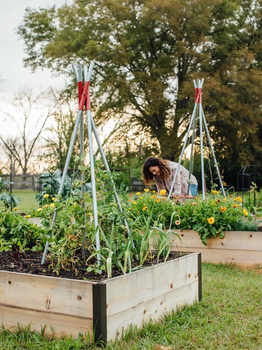 DIY Connector for Teepee Trellis DIY Connector For Teepee Trellis -Garden Care Specialty Store 8611896 38 tif