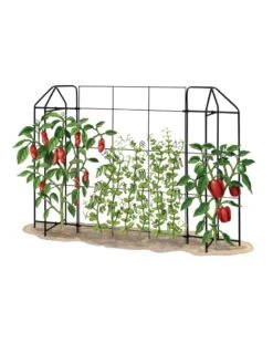 Zenith Trellis -Garden Care Specialty Store 8612035 art tif