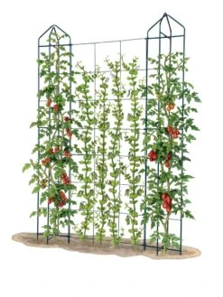 Zenith Trellis -Garden Care Specialty Store 8612036 art tif