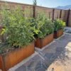 Nice Corten Trough Planters With Trellis -Garden Care Specialty Store 8612390 02V jpg