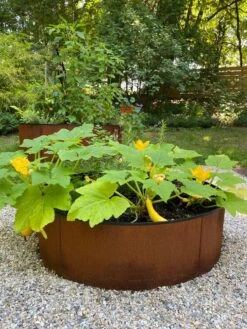 Birdies™ Corten Steel Round Raised Beds -Garden Care Specialty Store 8612422 0484 tif