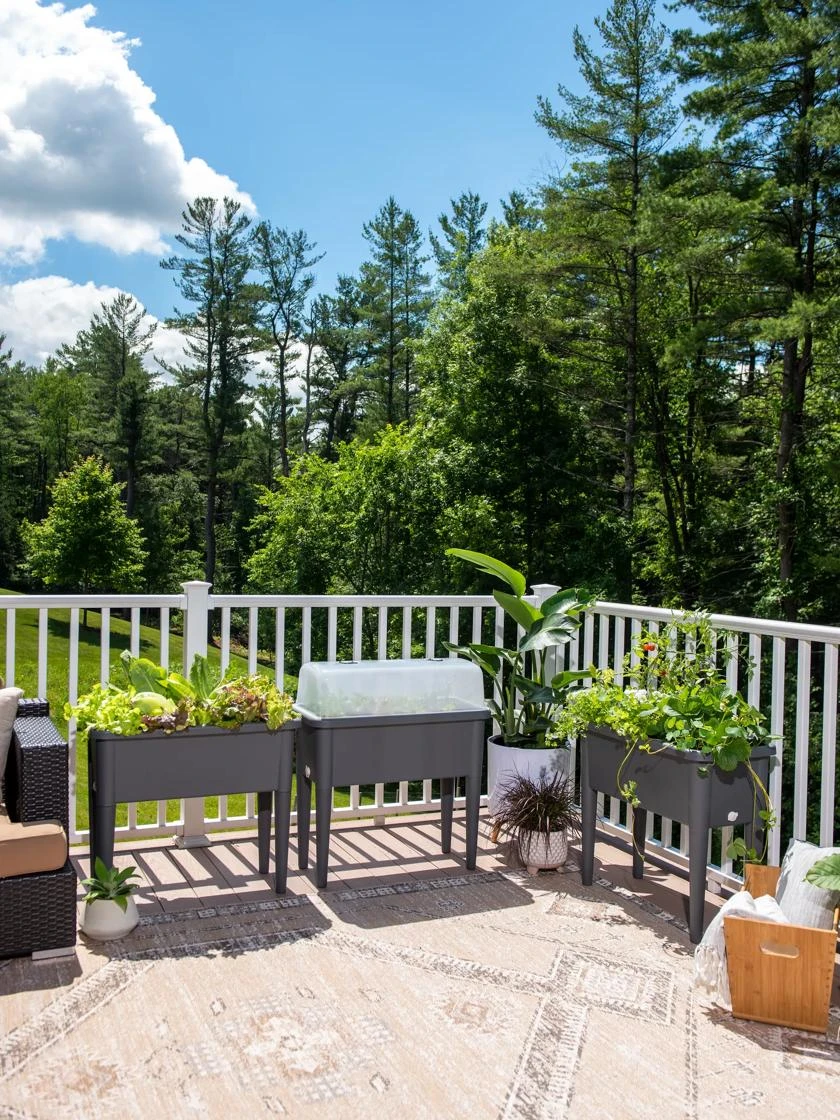 Self-Watering Standing Salad Planter with Cloche Self-Watering Standing Salad Planter With Cloche -Garden Care Specialty Store 8612702 2002 tif