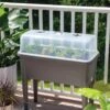 Self-Watering Standing Salad Planter With Cloche -Garden Care Specialty Store 8612702 2032 tif