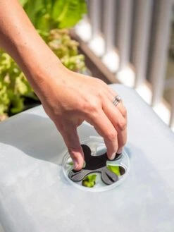 Self-Watering Standing Salad Planter With Cloche 4 Self-Watering Standing Salad Planter With Cloche -Garden Care Specialty Store 8612702 2034 tif