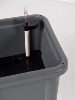 Self-Watering Standing Salad Planter With Cloche 7 Self-Watering Standing Salad Planter With Cloche -Garden Care Specialty Store 8612702 305 tif