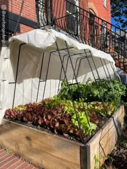 Zenith Garden Hoops, Set Of 4 7 Zenith Garden Hoops, Set Of 4 -Garden Care Specialty Store 8612816 01CUST