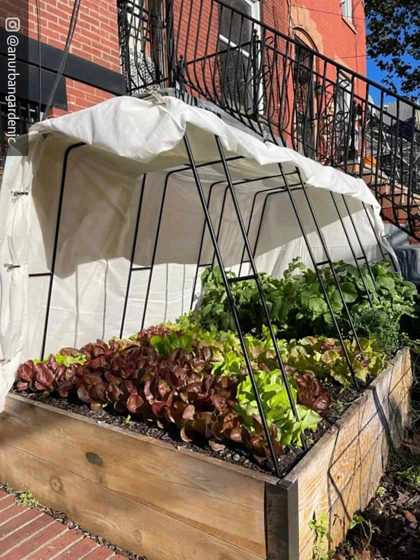 Zenith Garden Hoops, Set of 4 Zenith Garden Hoops, Set Of 4 -Garden Care Specialty Store 8612816 01CUST