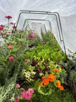 Zenith Garden Hoops, Set Of 4 6 Zenith Garden Hoops, Set Of 4 -Garden Care Specialty Store 8612816 01TEST