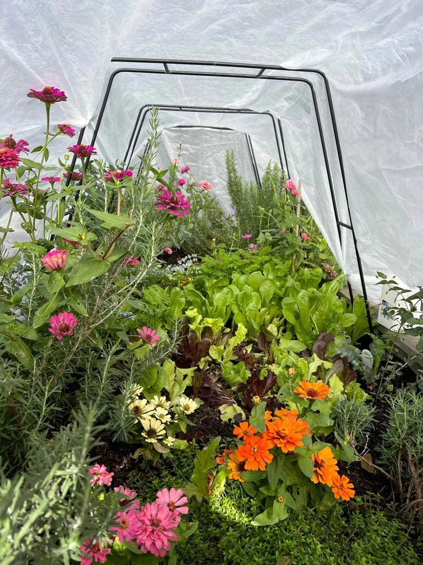 Zenith Garden Hoops, Set of 4 Zenith Garden Hoops, Set Of 4 -Garden Care Specialty Store 8612816 01TEST