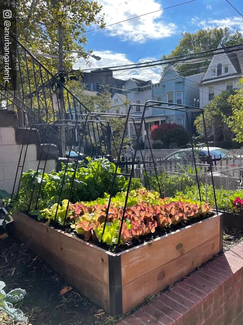 Zenith Garden Hoops, Set of 4 Zenith Garden Hoops, Set Of 4 -Garden Care Specialty Store 8612816 02CUST