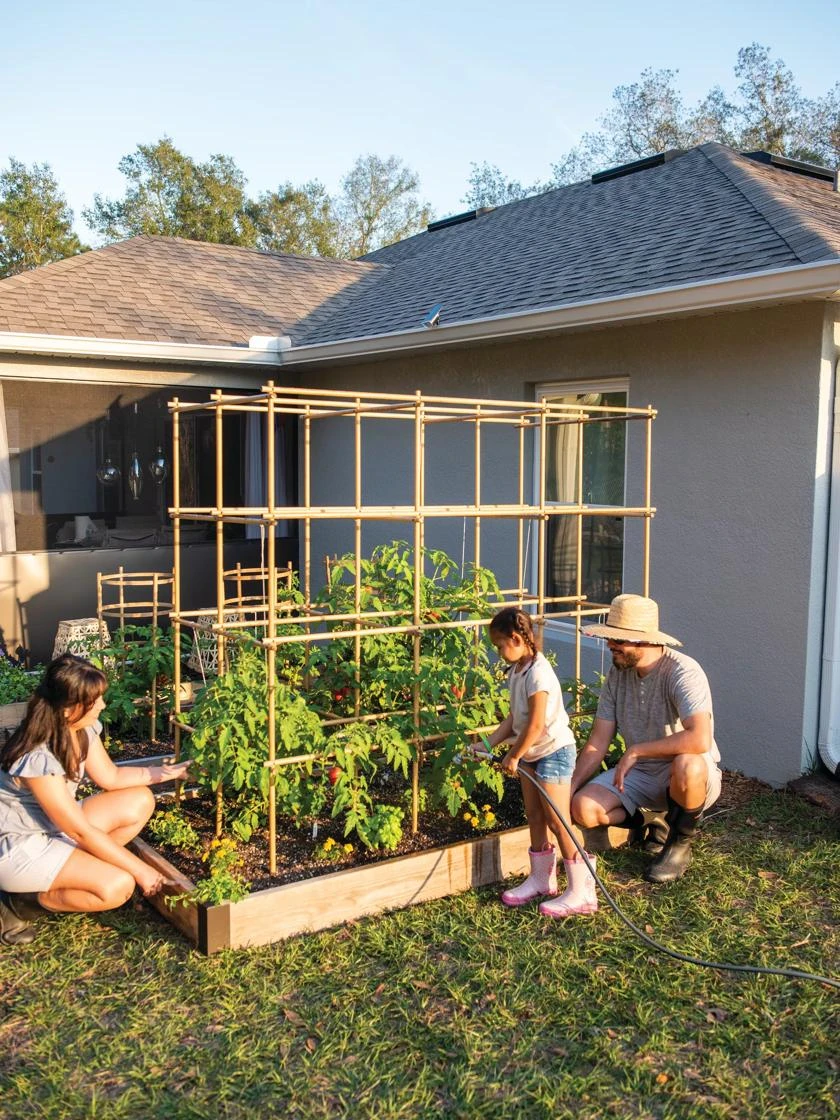 Tomato Six Pack Support Tomato Six Pack Support -Garden Care Specialty Store 8613143 0313