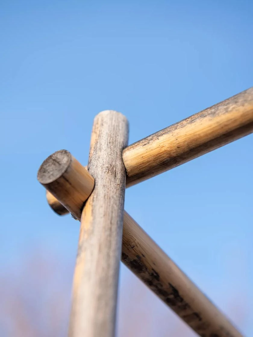 Tomato Six Pack Support Tomato Six Pack Support -Garden Care Specialty Store 8613143 0385 1