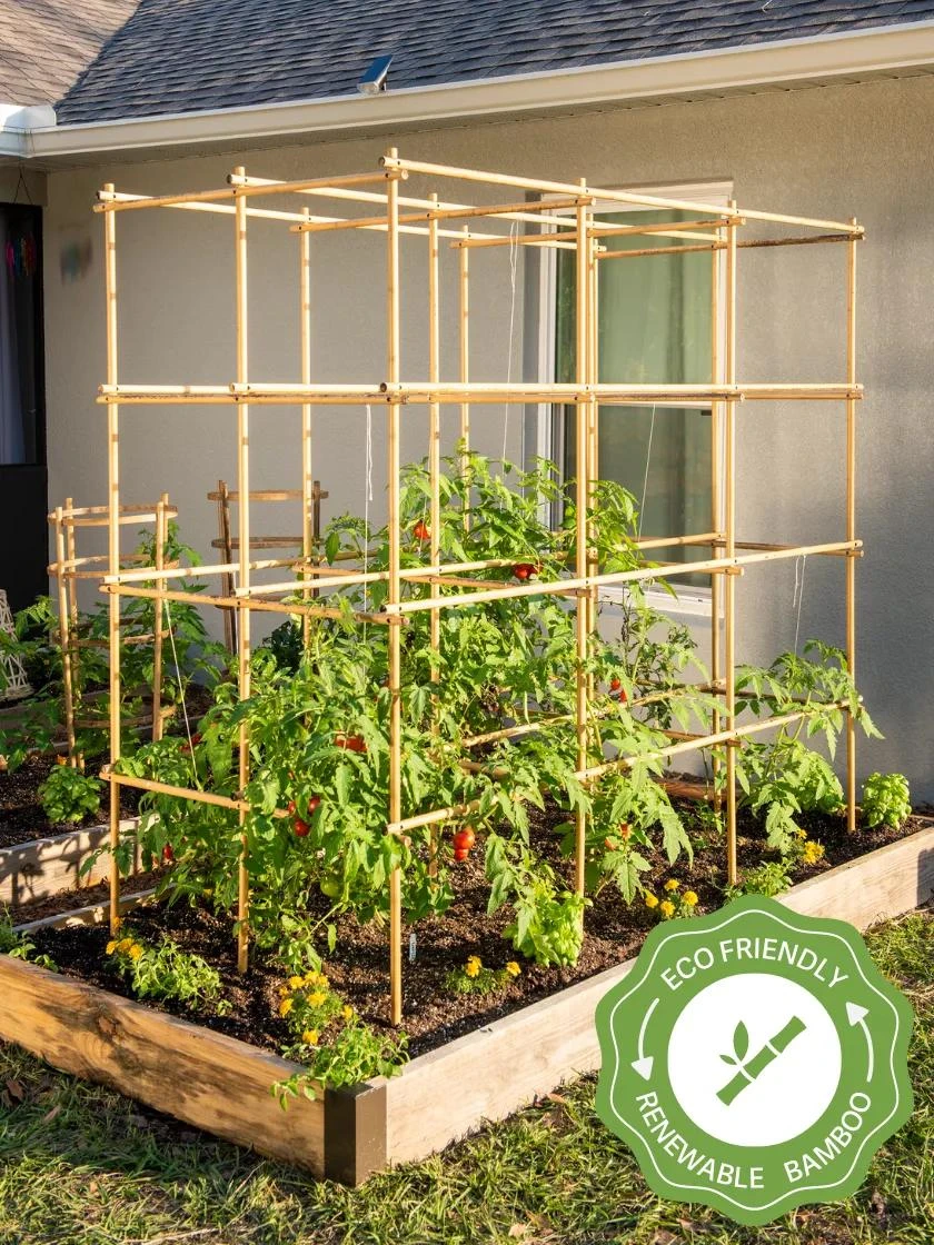 Tomato Six Pack Support Tomato Six Pack Support -Garden Care Specialty Store 8613143 23