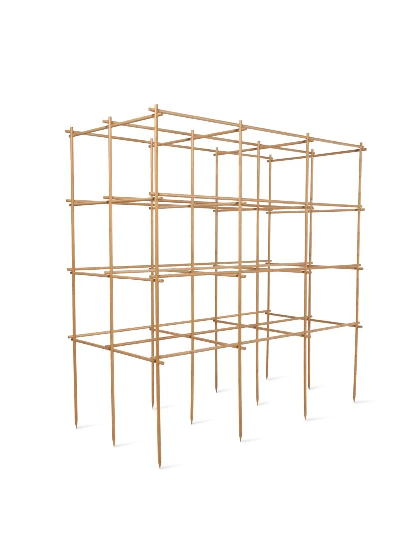 Tomato Six Pack Support Tomato Six Pack Support -Garden Care Specialty Store 8613143 5402 6 pack tomato support