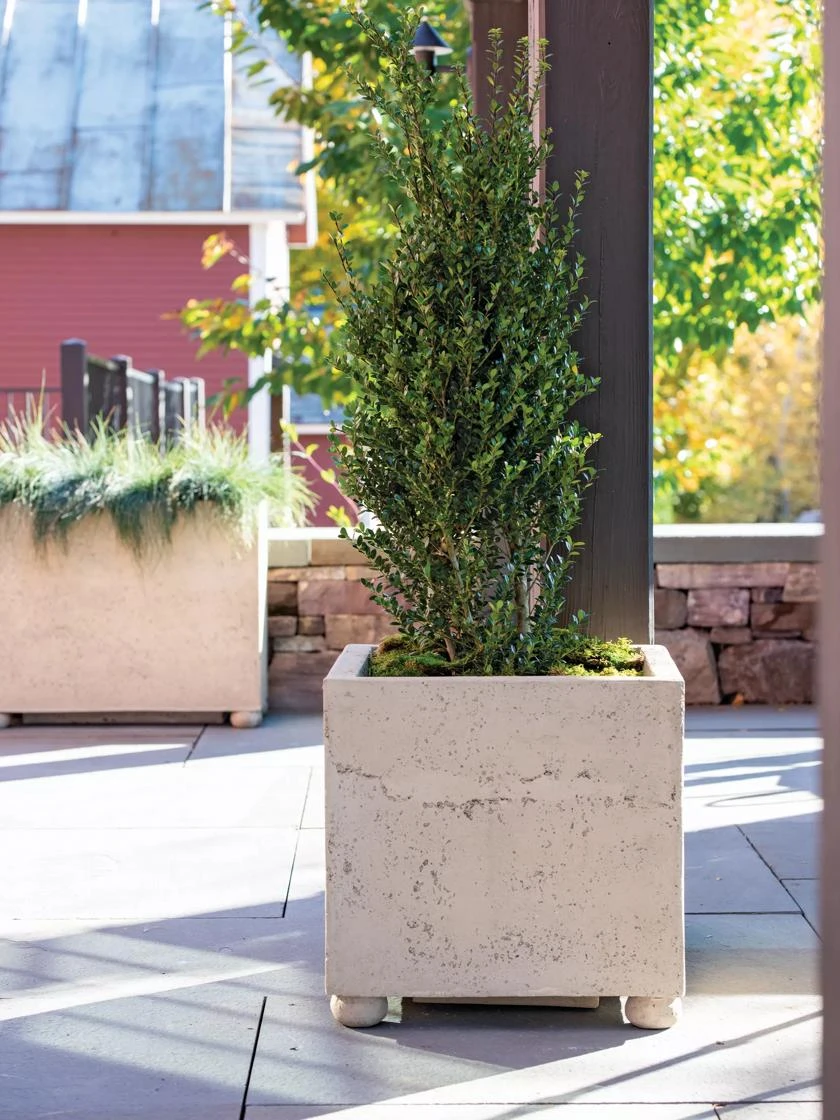 Self-Watering LavaStone® Modern Square Self-Watering LavaStone® Modern Square -Garden Care Specialty Store 8613258 0161 self watering lavastone modern square