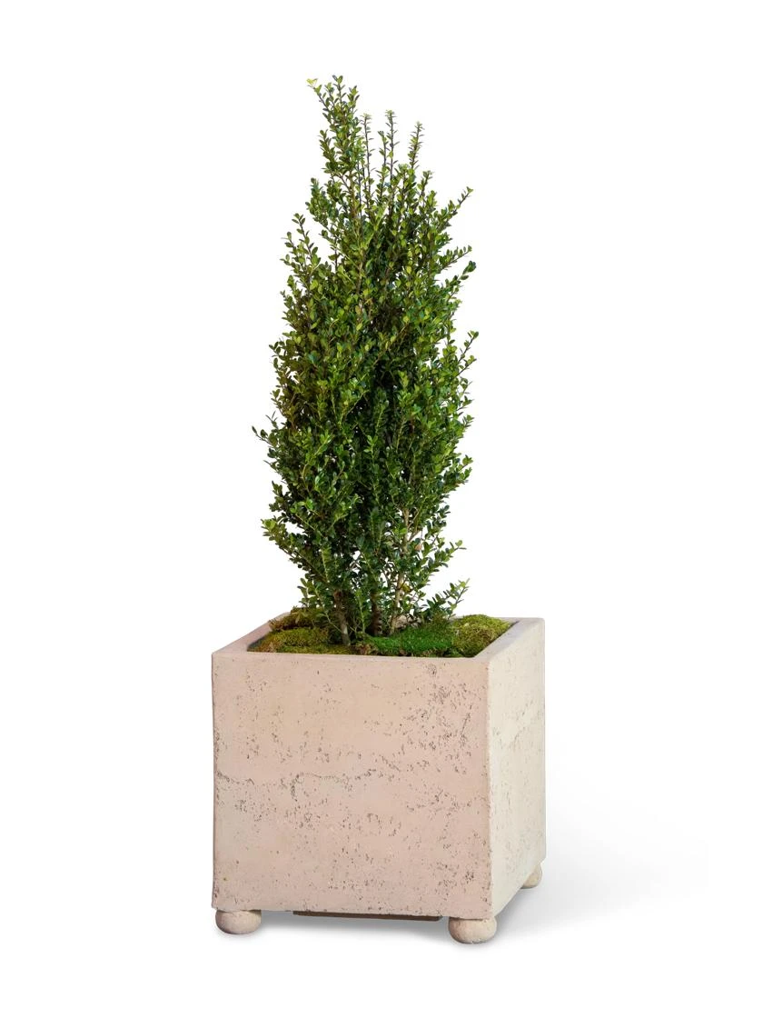 Self-Watering LavaStone® Modern Square Self-Watering LavaStone® Modern Square -Garden Care Specialty Store 8613258 26