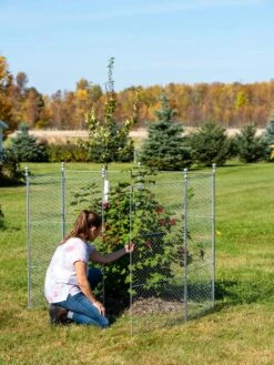 Tall Chicken Wire Critter Fence With Gate -Garden Care Specialty Store 8613260 0044