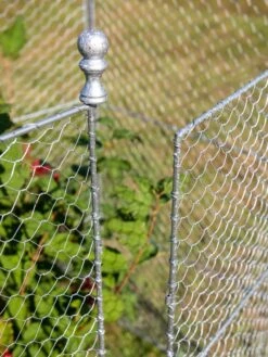 Tall Chicken Wire Critter Fence With Gate -Garden Care Specialty Store 8613260 0083