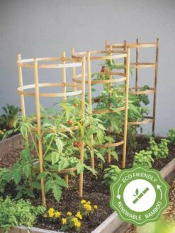 Bamboo Tomato Cages, Set Of 3