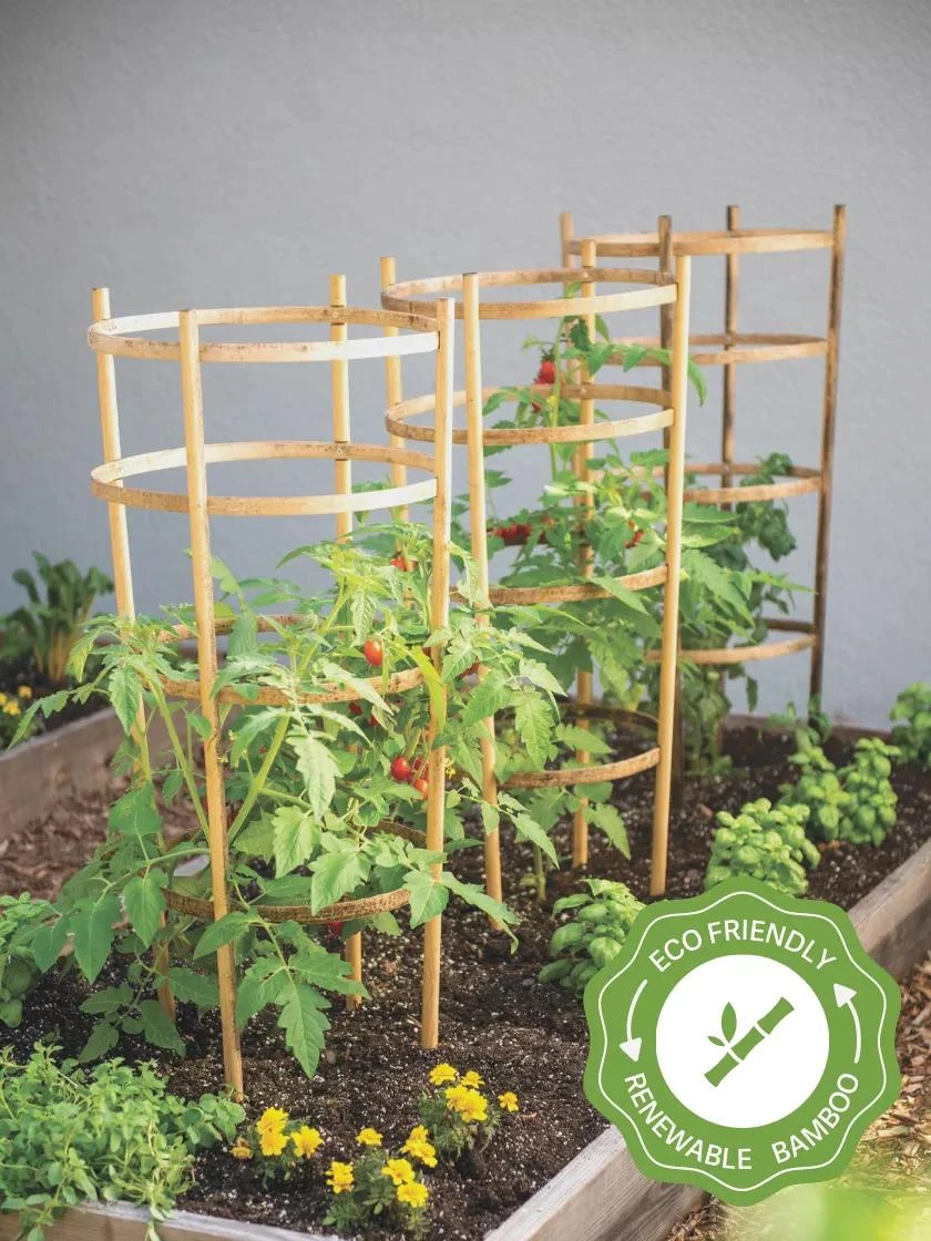 Bamboo Tomato Cages, Set of 3 Bamboo Tomato Cages, Set Of 3 -Garden Care Specialty Store 8613426 7