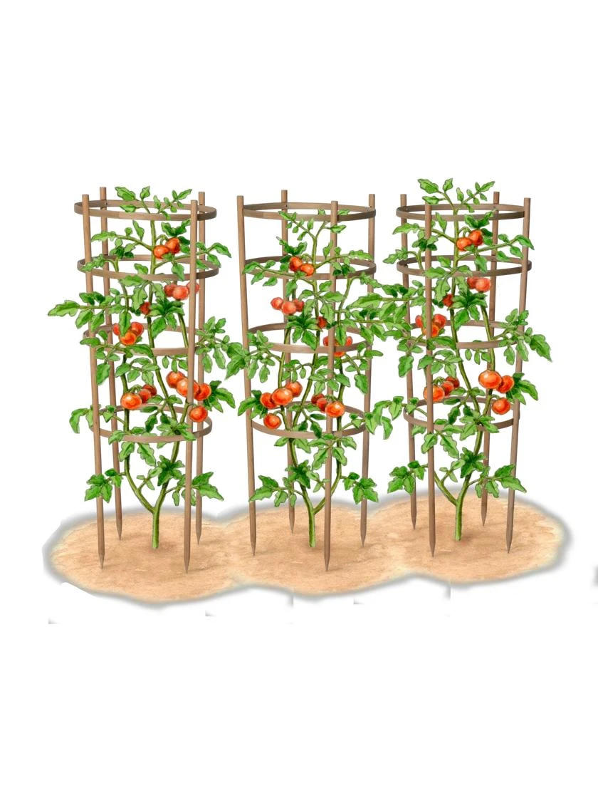 Bamboo Tomato Cages, Set of 3 Bamboo Tomato Cages, Set Of 3 -Garden Care Specialty Store 8613426 art