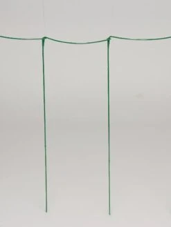 Curved Linking Stakes -Garden Care Specialty Store GS35241 04S tif
