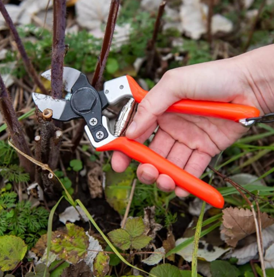 Garden Care Specialty Store 17 Garden Care Specialty Store -Garden Care Specialty Store 78371f50c85fe893f362086b235f5b9e